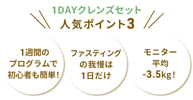 1DAYクレンズセット 人気ポイント3